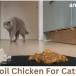 How To Boil Chicken For Cats