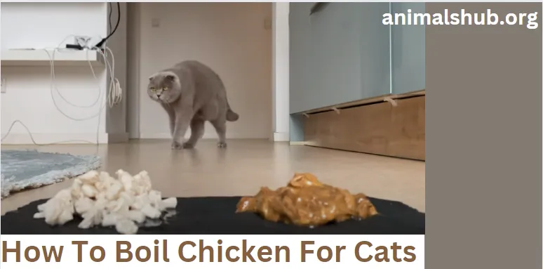 How To Boil Chicken For Cats