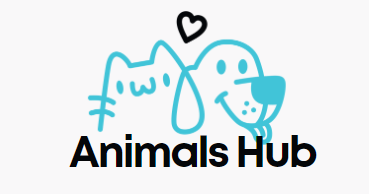 Animals Hub