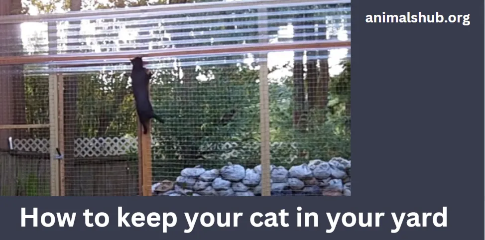 How to keep your cat in your yard