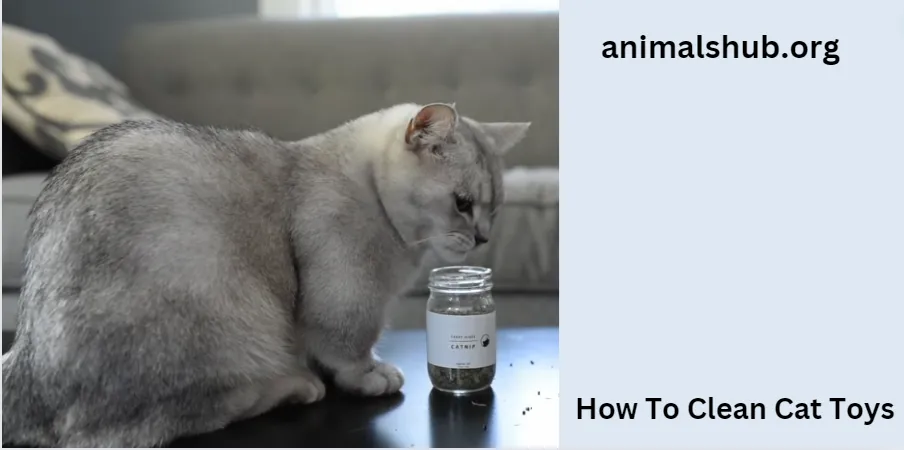 How To Clean Cat Toys