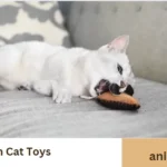 How To Clean Cat Toys