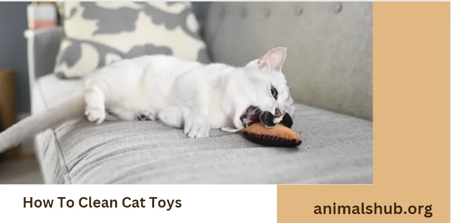 How To Clean Cat Toys