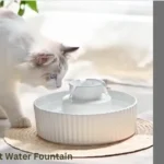 How to Clean Cat Water Fountain