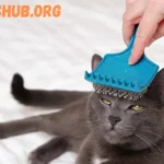 My Cat Hates Being Brushed